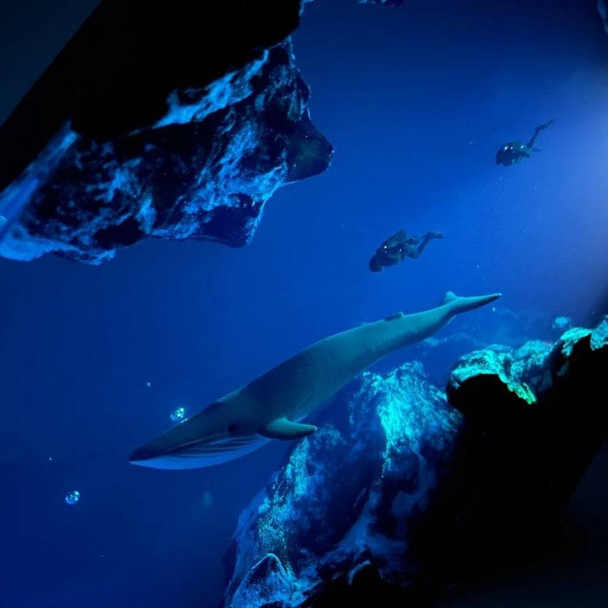 Blue Whale Couple Diver Resin Night Light - OPICRAFT