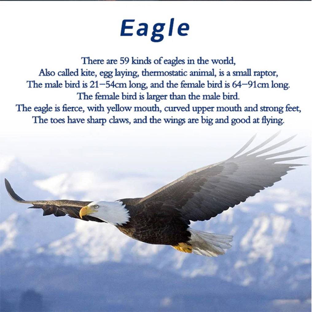 Captivating DIY 3D Bald Eagle Model Kit - Create a Soaring Haliaeetus Leucocephalus with Flapping Wings! - OPICRAFT