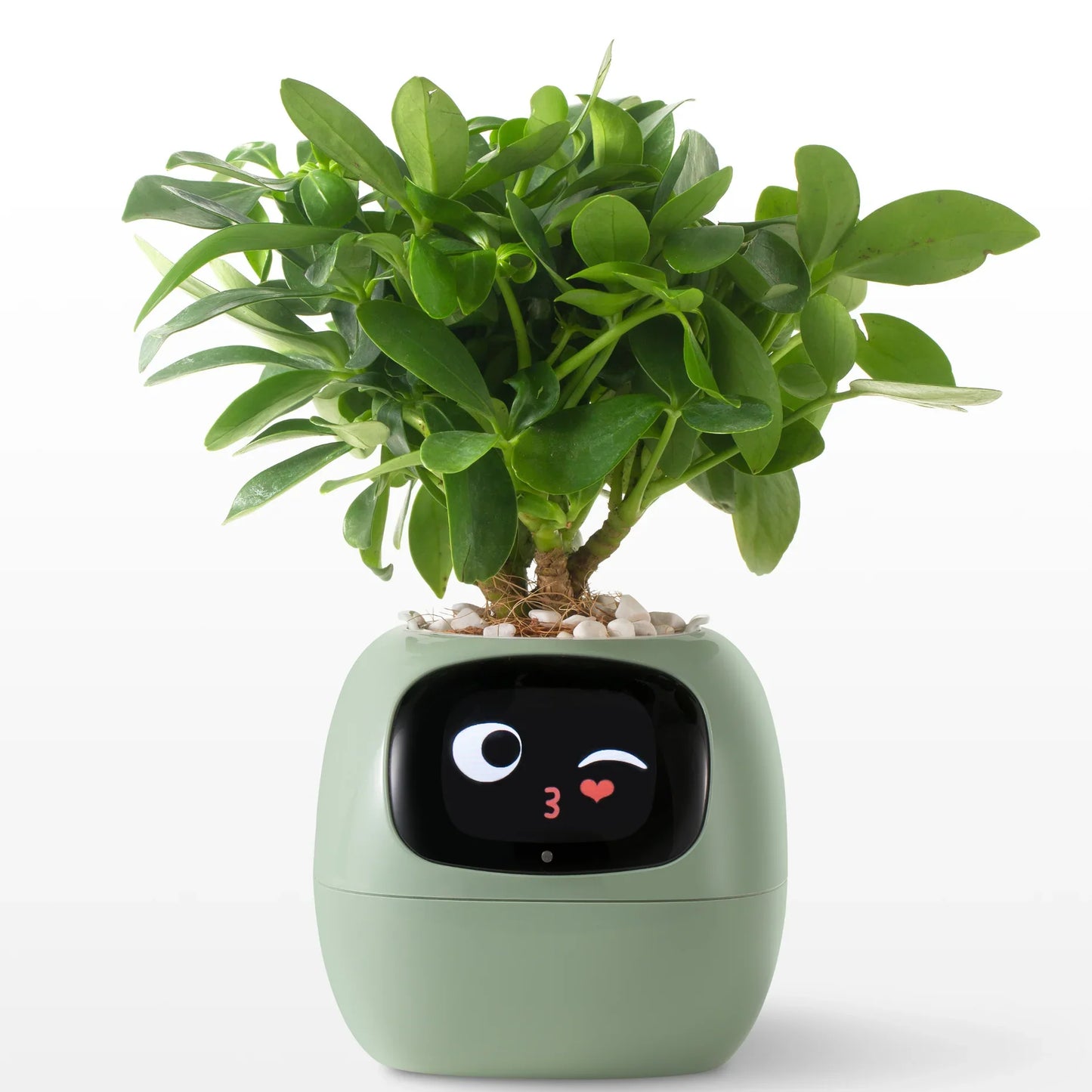 LOLY AI-Powered Smart Flowerpots! | BRIVLOX - BRIVLOX | Where Innovation Meets Style!