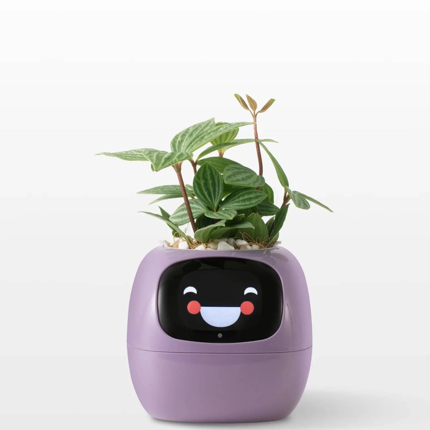 LOLY AI-Powered Smart Flowerpots! | BRIVLOX - BRIVLOX | Where Innovation Meets Style!