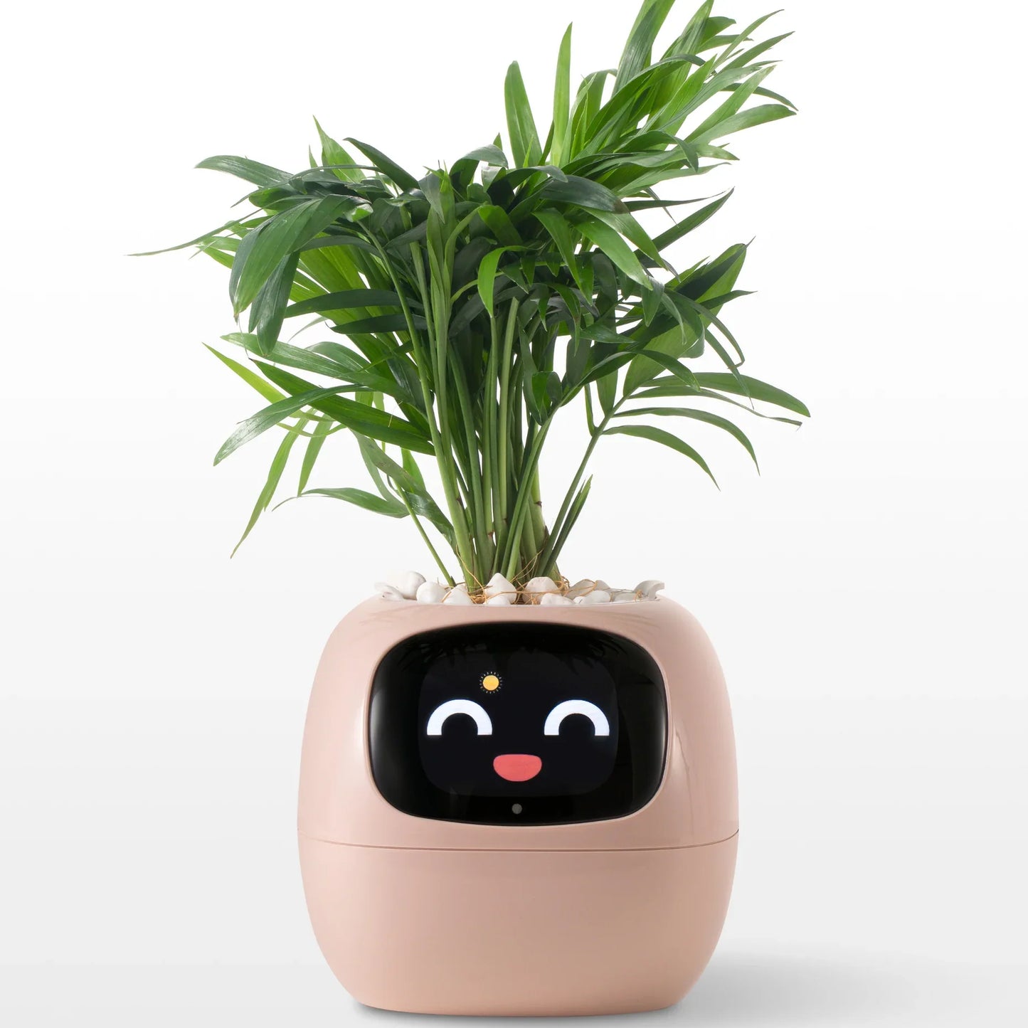 LOLY AI-Powered Smart Flowerpots! | BRIVLOX - BRIVLOX | Where Innovation Meets Style!