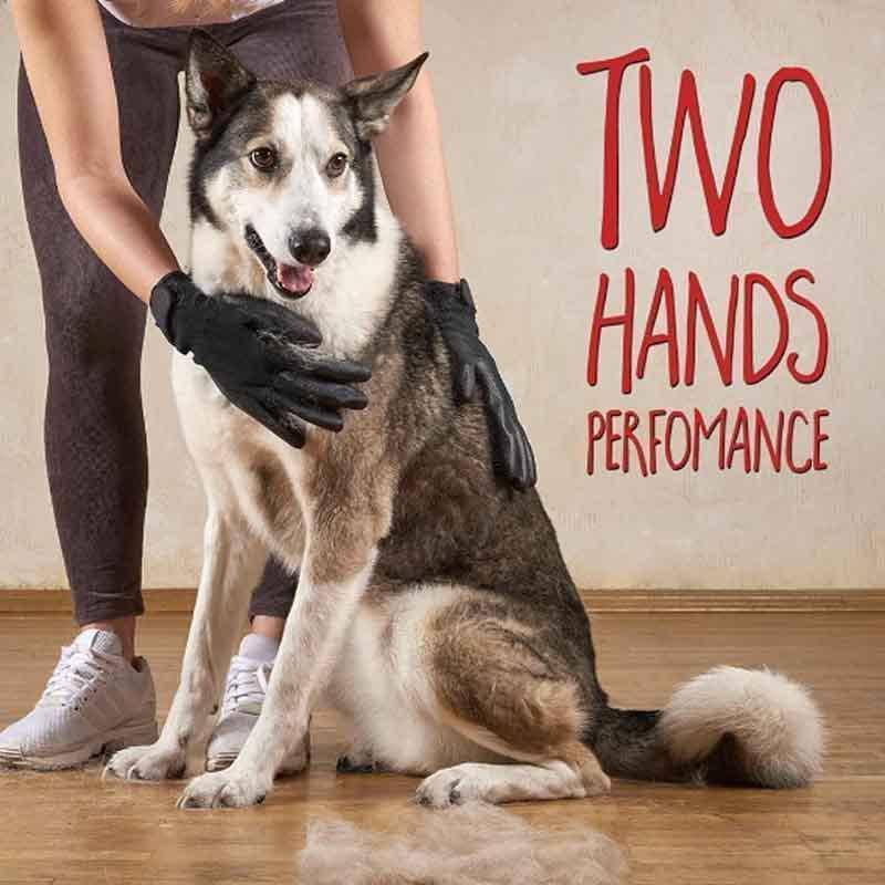 GLOVES FOR CATS, DOGS & HORSES - ( 1 PAIR ) - BRIVLOX | Where Innovation Meets Style!