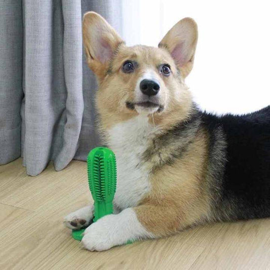 DOG TOOTHBRUSH TOY - BRIVLOX | Where Innovation Meets Style!