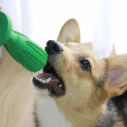 DOG TOOTHBRUSH TOY - BRIVLOX | Where Innovation Meets Style!