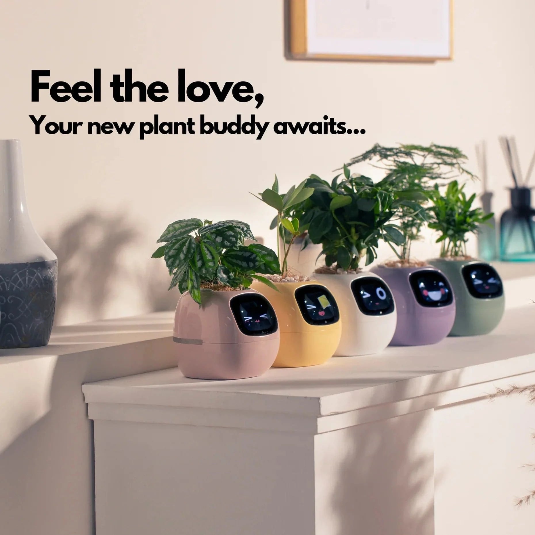 LOLY AI-Powered Smart Flowerpots! | BRIVLOX - BRIVLOX | Where Innovation Meets Style!