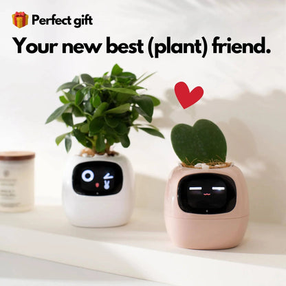 LOLY AI-Powered Smart Flowerpots! | BRIVLOX - BRIVLOX | Where Innovation Meets Style!