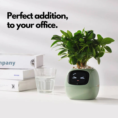 LOLY AI-Powered Smart Flowerpots! | BRIVLOX - BRIVLOX | Where Innovation Meets Style!