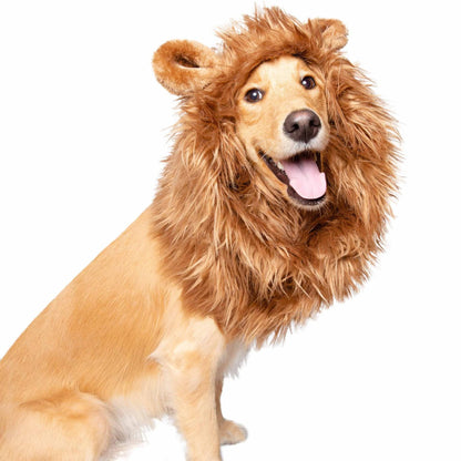 LION MANE DOG COSTUME - BRIVLOX | Where Innovation Meets Style!