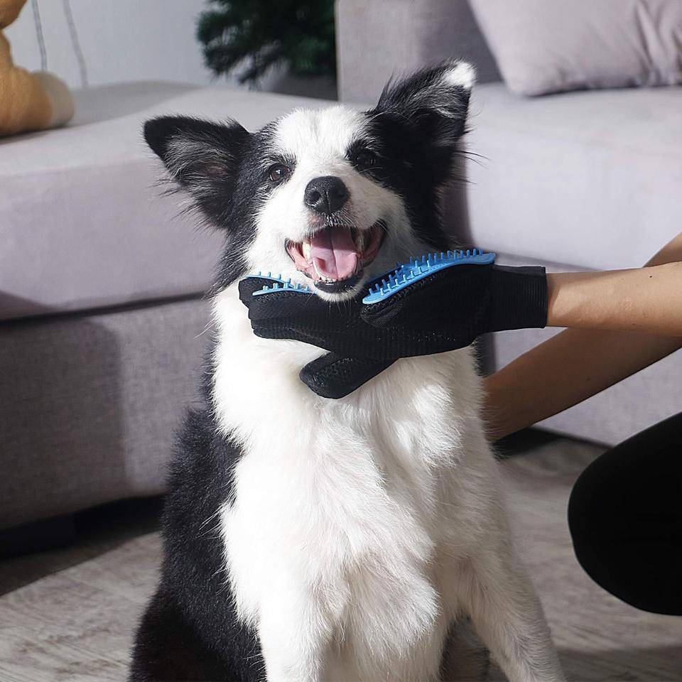 PET GROOMING GLOVES - BRIVLOX | Where Innovation Meets Style!