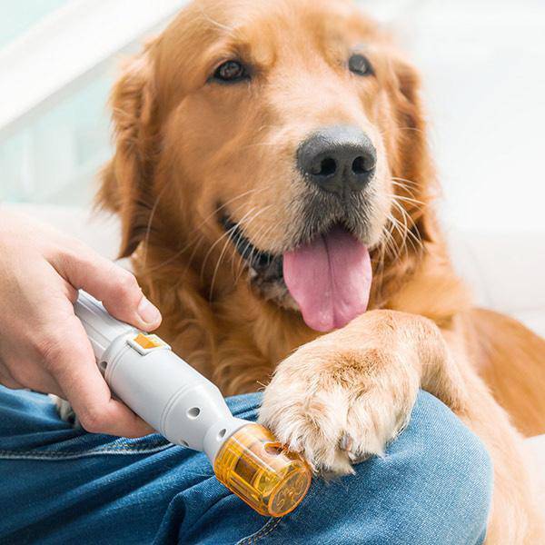 PREMIUM PAINLESS NAIL CLIPPER FOR PETS - ALL SIZE DOGS & CATS - BRIVLOX | Where Innovation Meets Style!