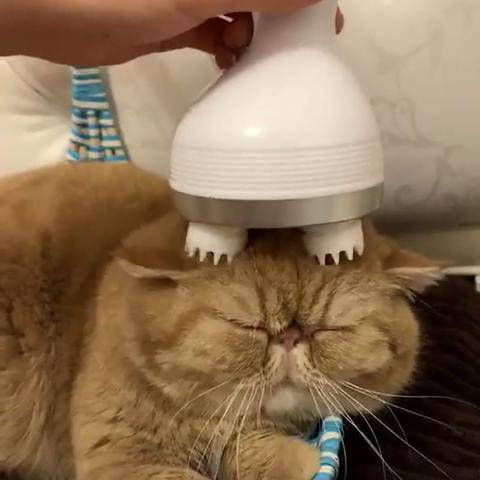 Cat Head Massager - Electric Massager for Cats - BRIVLOX | Where Innovation Meets Style!